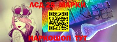 a pvp Новозыбков