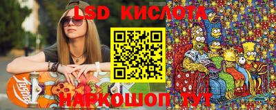 a pvp Новозыбков