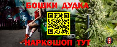a pvp Новозыбков