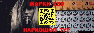 a pvp Новозыбков