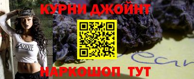 a pvp Новозыбков