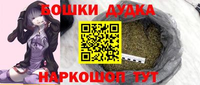 a pvp Новозыбков