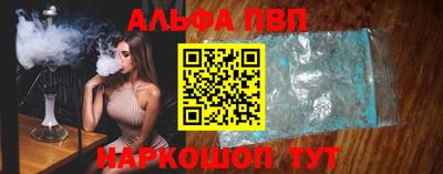 a pvp Новозыбков