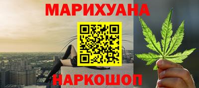 a pvp Новозыбков