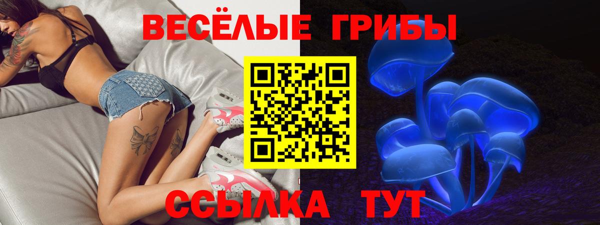где продают наркотики  Галлюциногенные грибы мухоморы  Вход с VPN  Ржев 